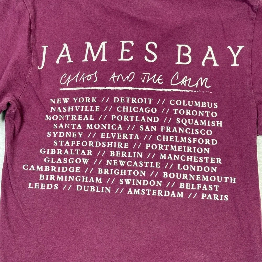 James Bay Chaos and the Calm Concert Tour Graphic T-Shirt Maroon XS Bella Canvas